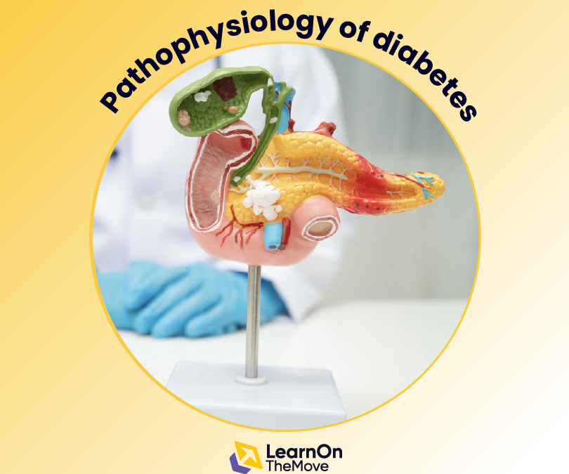 Pathophysiology of diabetes